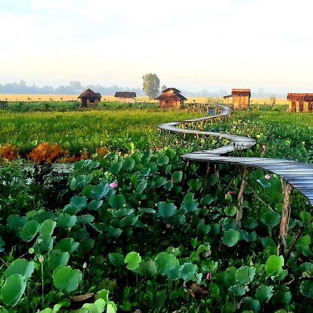Viet Mekong Farmstay Tràm Chim Extérieur photo