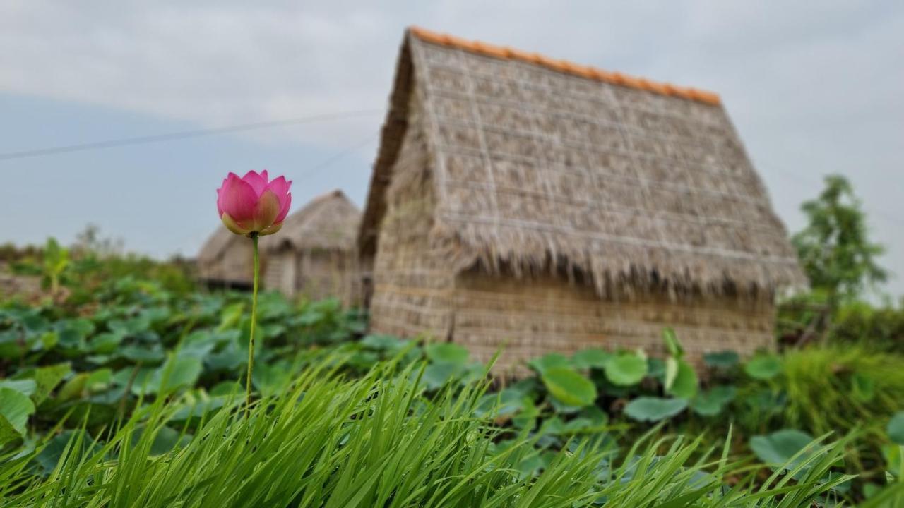 Viet Mekong Farmstay Tràm Chim Extérieur photo
