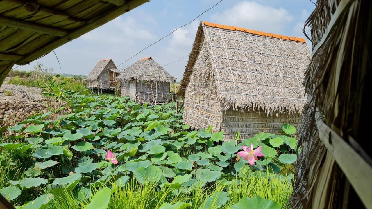 Viet Mekong Farmstay Tràm Chim Extérieur photo