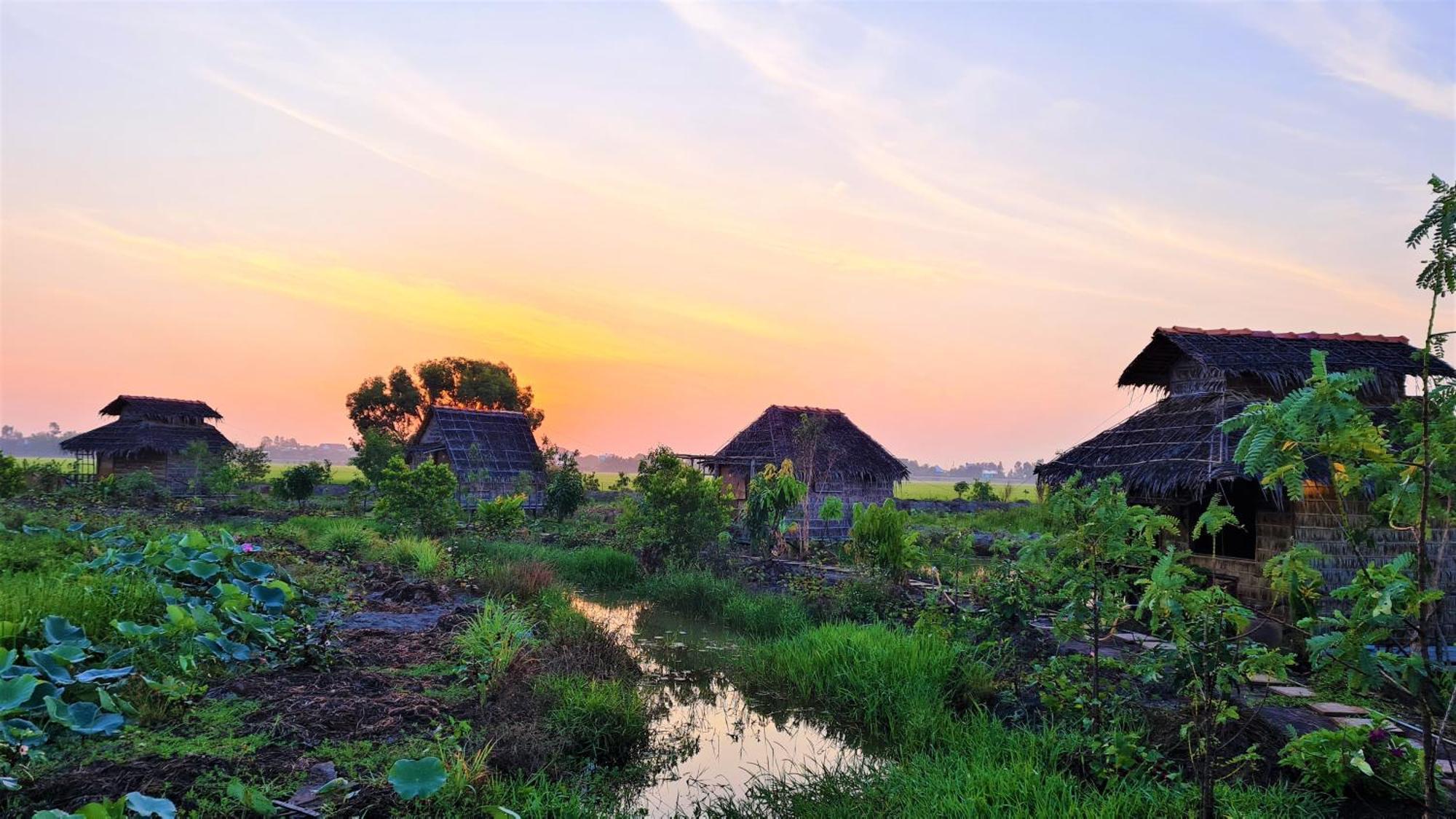 Viet Mekong Farmstay Tràm Chim Extérieur photo